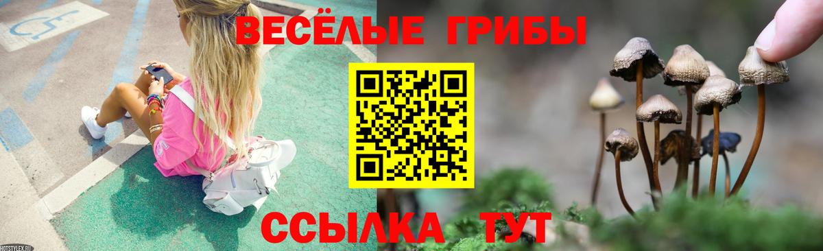 Нефтекумск  Галлюциногенные грибы мицелий  Галлюциногенные грибы Psilocybine cubensis  Вход с VPN 